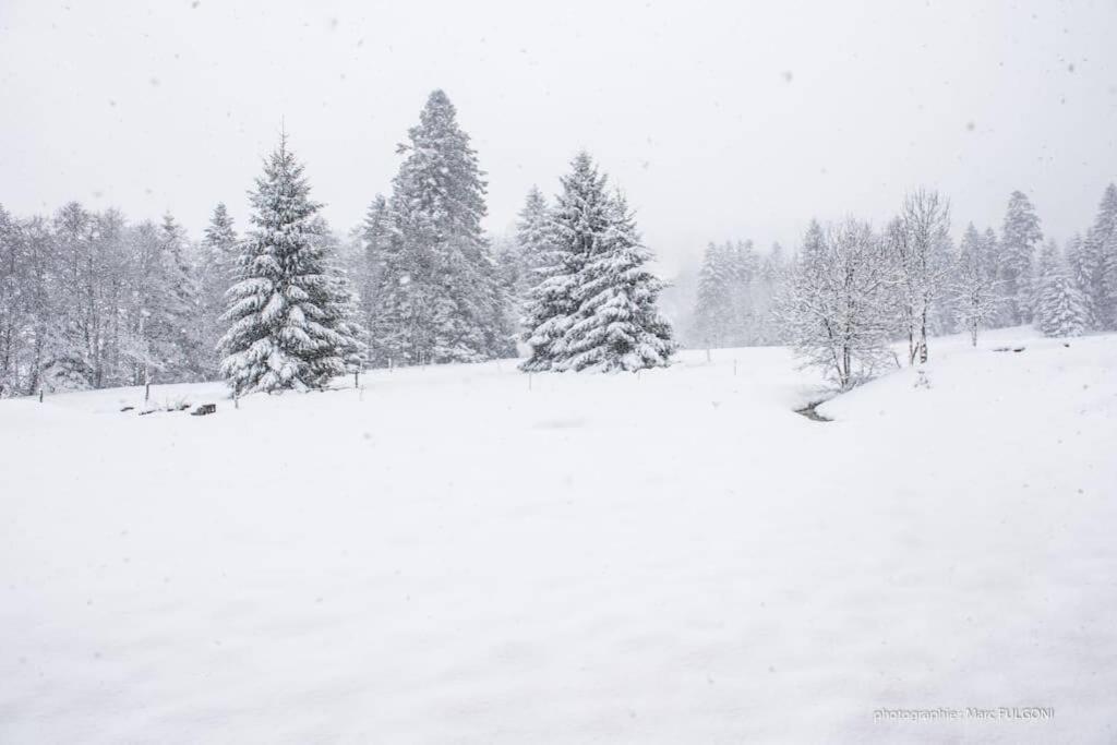 Chalet Charligustine - Gerardmer - 8P Exterior foto